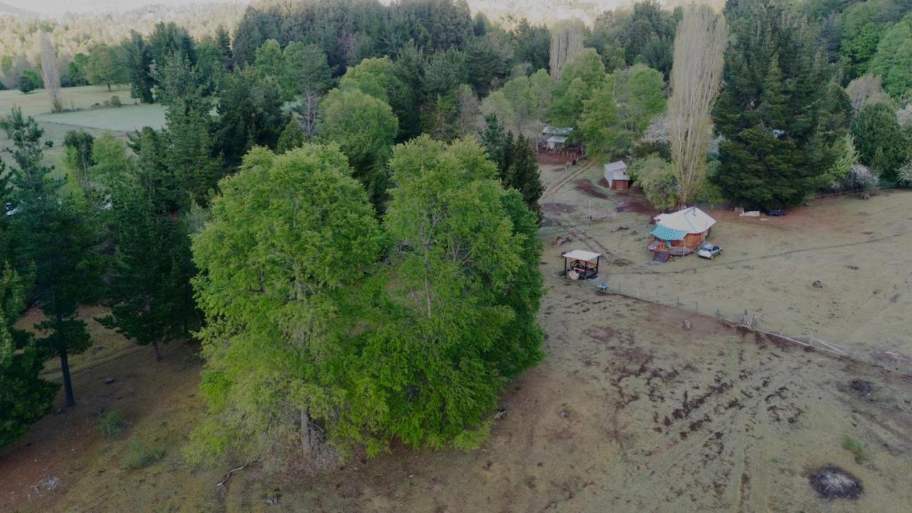 Appartement Cabana Kineco Y Tinaja à Melipeuco Extérieur photo